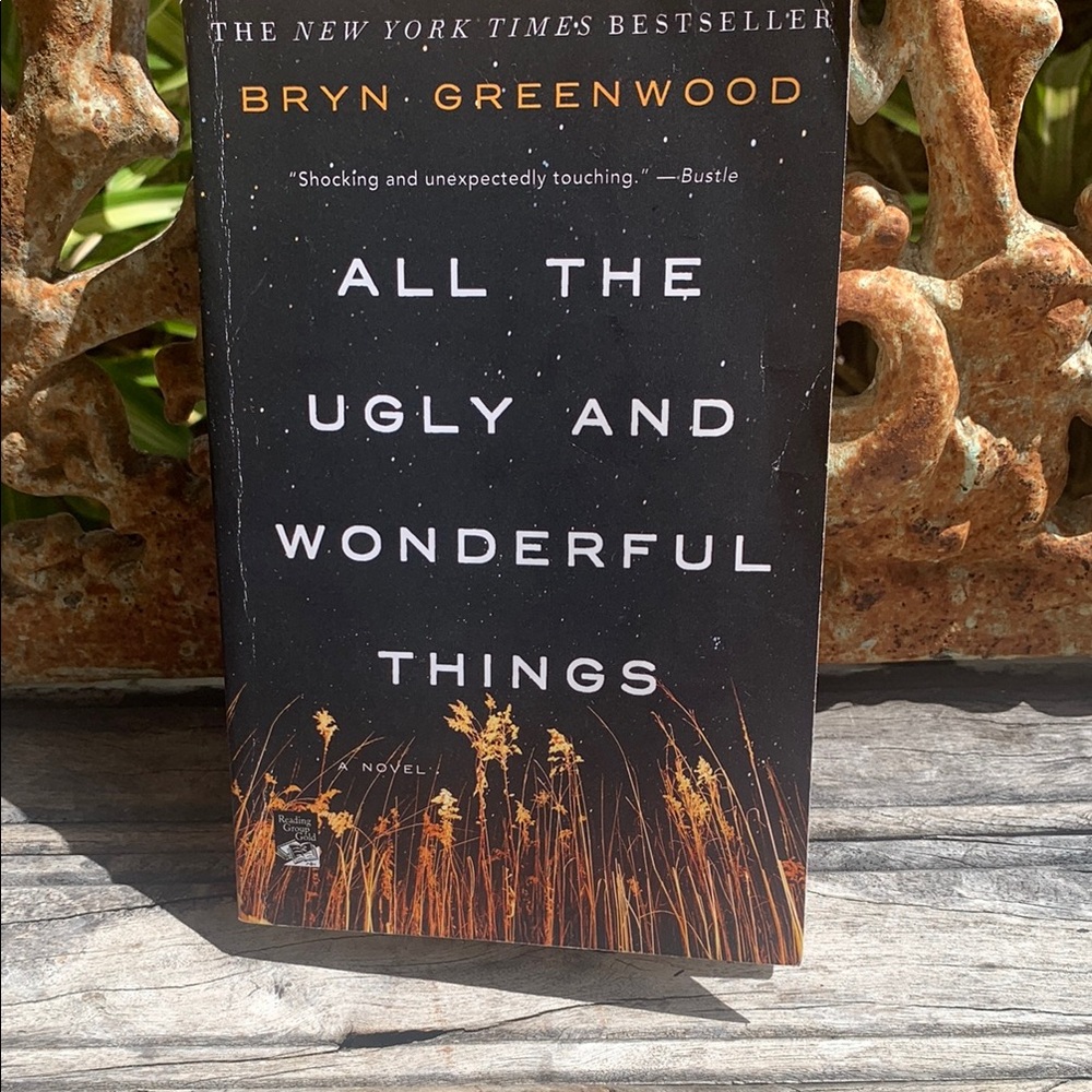 All the Ugly and Wonderful Things Book - Picture 1 of 7
